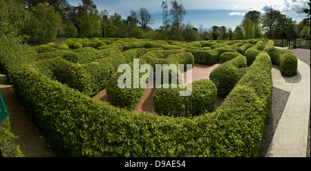 The maze at Carnfunnock Country Park near Larne, County Antrim, Northern Ireland, UK Stock Photo