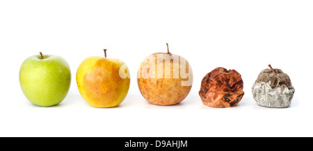 Five apples in various states of decay against white background Stock Photo