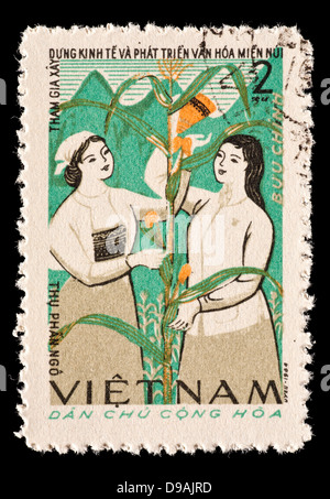 Postage stamp from North Vietnam depicting women pollinating corn. Stock Photo