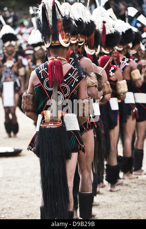 Naga tribe dance in hornbill festival ; Kohima ; Kisama village ...