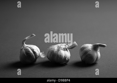Three bulbs of garlic placed on a dark studio background, in black and white Stock Photo