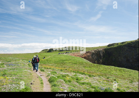 Visitors at The Wick on the island of Skomer, South Pembrokeshire, Wales, United Kingdom Stock Photo