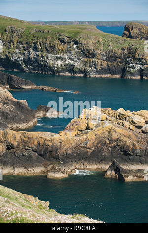 View along the coastline of Skomer towards The Wick, South Pembrokeshire, Wales, United Kingdom Stock Photo