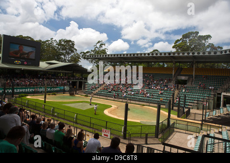 General view of The Crocoseum, amphitheater during a show,The Australia Zoo, Beerwah, Queensland, Australia Stock Photo