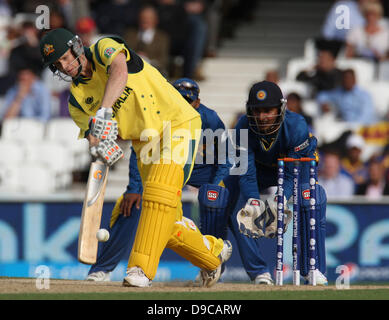 17.06.2013 London, England. Adam Voges of Australia during  the ICC Champions Trophy Group A fixture between Australia and Sri Lanka from The Oval. Stock Photo