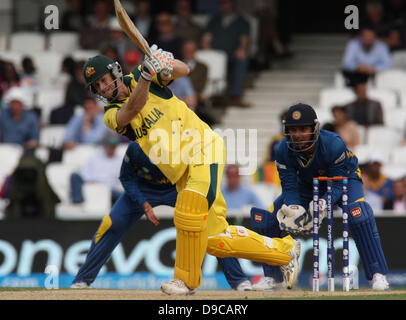 17.06.2013 London, England. Adam Voges of Australia during  the ICC Champions Trophy Group A fixture between Australia and Sri Lanka from The Oval. Stock Photo