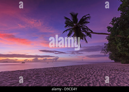 Beach view and palmtree on La Digue island in Seychelles at sunset Stock Photo