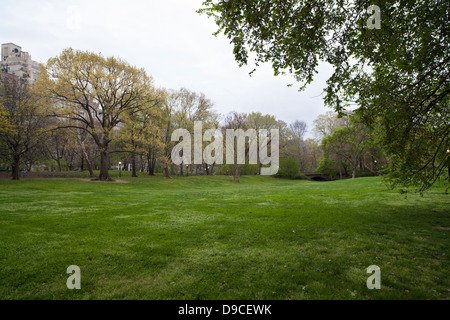 View of Cedar Hill lawn in New York City's Central Park. Stock Photo