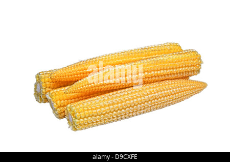 Baby corn cobs isolated on white background Stock Photo