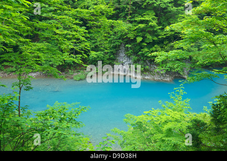 Trees and water stream, Akita Prefecture Stock Photo