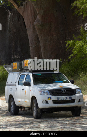 4x4 camper at Baines' Baobabs, Kudiakam Pan, Nxai Pan National Park, Botswana, Africa Stock Photo