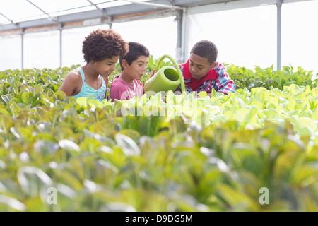 Three children watering plants in greenhouse Stock Photo