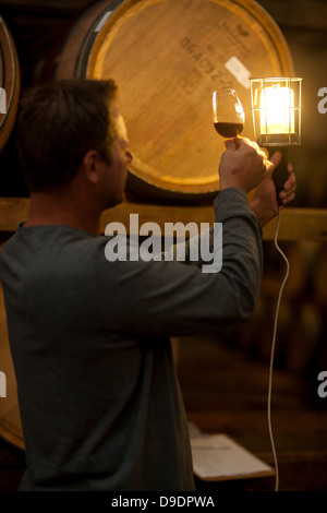 Checking wine aging in barrels Stock Photo