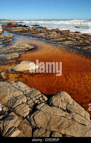 Tannin colored water at the mouth of a mountain stream running into Scarborough beach, Cape Town, Western Cape, South Africa Stock Photo