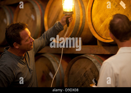 Checking wine aging in barrels Stock Photo