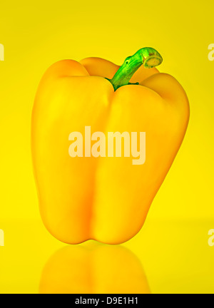 Bright Yellow Pepper with reflection photographed on a yellow background Stock Photo