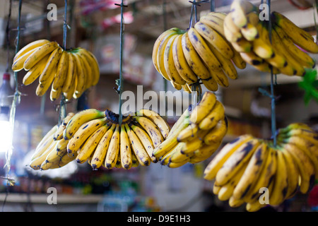 Banana hanging in asian market, closeup Stock Photo