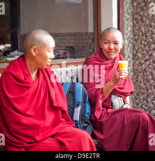 Two monks sitting together, Tibetan Monastery, Delhi, India Stock Photo