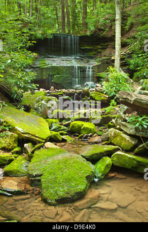 ROUND ISLAND RUN WATERFALL CLINTON COUNTY PENNSYLVANIA USA Stock Photo