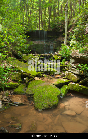 ROUND ISLAND RUN WATERFALL CLINTON COUNTY PENNSYLVANIA USA Stock Photo