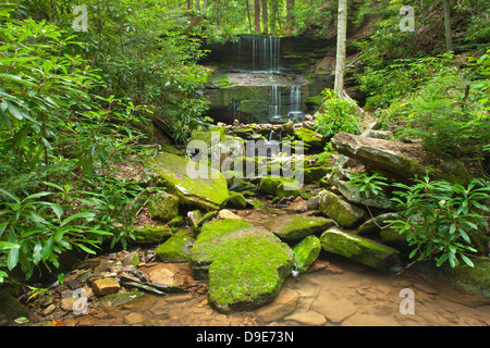 ROUND ISLAND RUN WATERFALL CLINTON COUNTY PENNSYLVANIA USA Stock Photo