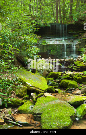 ROUND ISLAND RUN WATERFALL CLINTON COUNTY PENNSYLVANIA USA Stock Photo