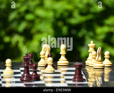 Chess pieces on a table in the park Stock Photo