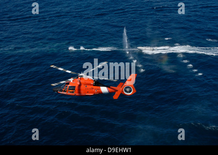 A helicopter crew trains off the coast of Jacksonville, Florida. Stock Photo