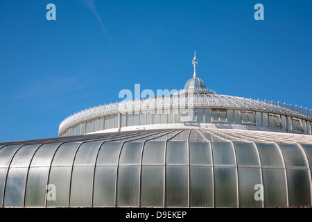 The roof of the Kibble Palace in the Botanic Gardens in Glasgow. Stock Photo