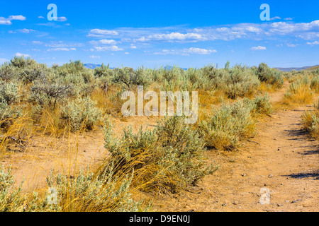 Remaining wagon ruts of Oregon Trail surrounded by sagebrush on partly cloudy day in Baker City, Oregon Stock Photo