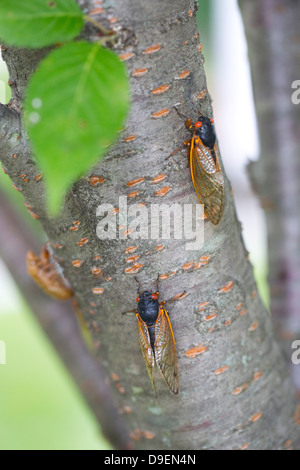 Cool weather hi-res stock photography and images - Alamy