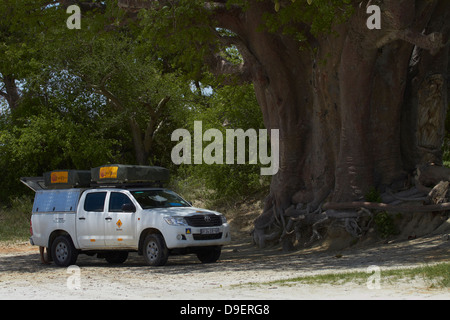 4x4 camper at Baines' Baobabs, Kudiakam Pan, Nxai Pan National Park, Botswana, Africa Stock Photo