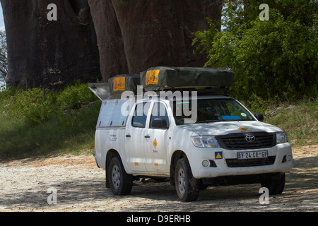 4x4 camper at Baines' Baobabs, Kudiakam Pan, Nxai Pan National Park, Botswana, Africa Stock Photo