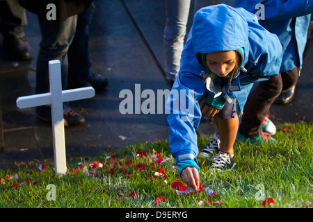 A young girl lays a poppy in the Field of Remembrance at the Anzac Day Dawn Service, War Memorial Museum, Auckland, New Zealand Stock Photo