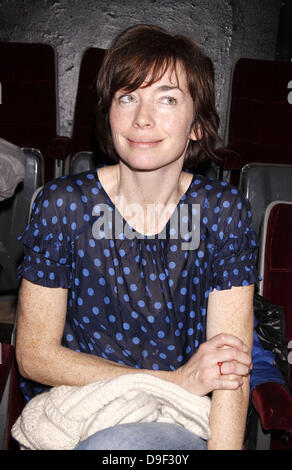 Julianne Nicholson Opening night after party for the Off-Broadway production of The 'Hallway Trilogy: Nursing' held at Dublin 6 restaurant New York City, USA - 24.02.11 Stock Photo