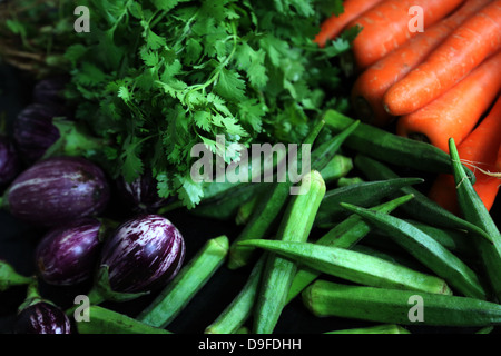 Fresh ripe vine tomato's on display in the farmers market Tomato’s, vine, red, market, fruit, vegetables, farm, healthy, fresh, Stock Photo