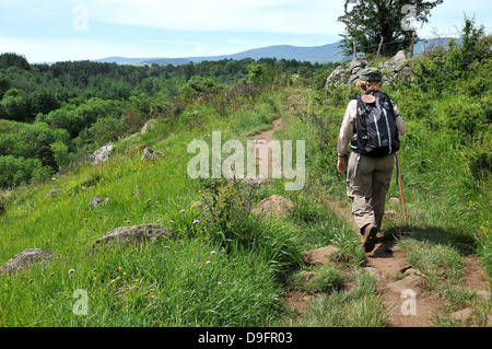 Pilgrim on the Way of St. James, Christian pilgrimage route towards Saint-Jacques-de-Compostelle, Languedoc-Roussillon, France Stock Photo