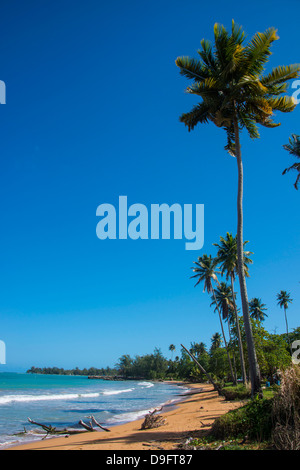 Luquillo Beach, Puerto Rico, West Indies, Caribbean Stock Photo