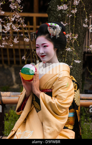 Real Geisha posing before a cherry blossom tree in the Geisha quarter of Gion in Kyoto, Japan Stock Photo