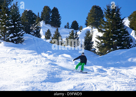 Snow-boarding off-piste early morning in winter, La Plagne, French Alps, France Stock Photo
