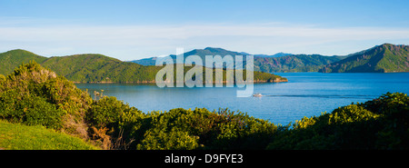 Speed boat in Queen Charlotte Sound, Picton, Marlborough Region, South Island, New Zealand Stock Photo