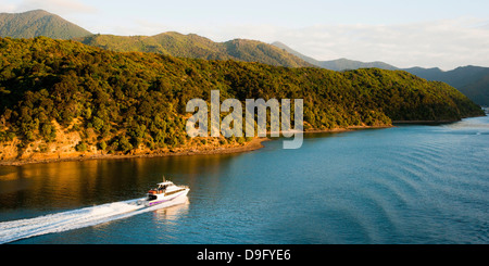 Speed boat in Queen Charlotte Sound, Picton, Marlborough Region, South Island, New Zealand Stock Photo