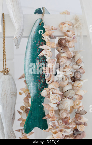 Kirin Shell Image of natural large conch shell kirin snail thousands on a white ...