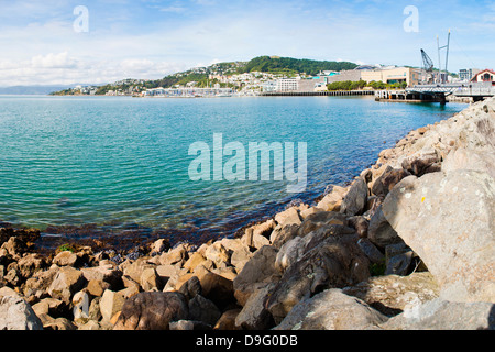 Wellington Harbour, North Island, New Zealand Stock Photo