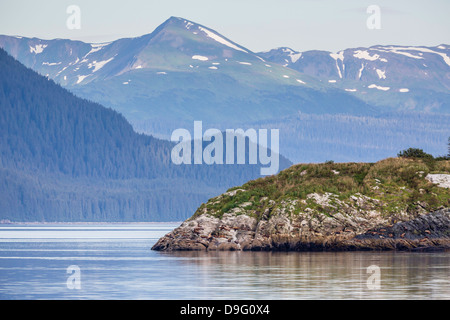 Northern (Steller) sea lions (Eumetopias jubatus), South Marble Island, Glacier Bay National Park, Southeastern Alaska, USA Stock Photo