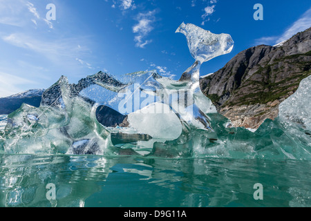 Glacial ice calved from the Sawyer Glacier, Williams Cove, Tracy Arm-Ford's Terror Wilderness Area, Southeast Alaska, USA Stock Photo