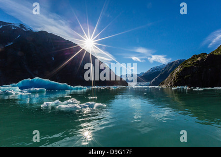 Calved glacier ice in Tracy Arm-Ford's Terror Wilderness area, Southeast Alaska, USA Stock Photo