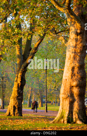 Walking in an autumnal Hyde Park, London, England, UK Stock Photo