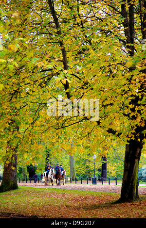 Horses in an autumnal Hyde Park, London, England, UK Stock Photo