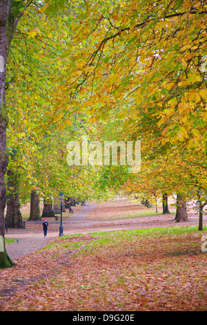 Walking in an autumnal Hyde Park, London, England, UK Stock Photo